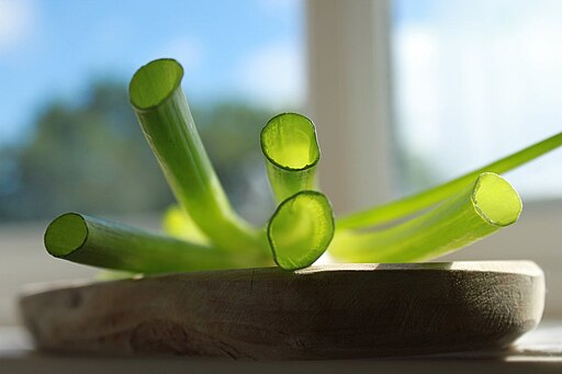 Green onions- Parade - 4 pack