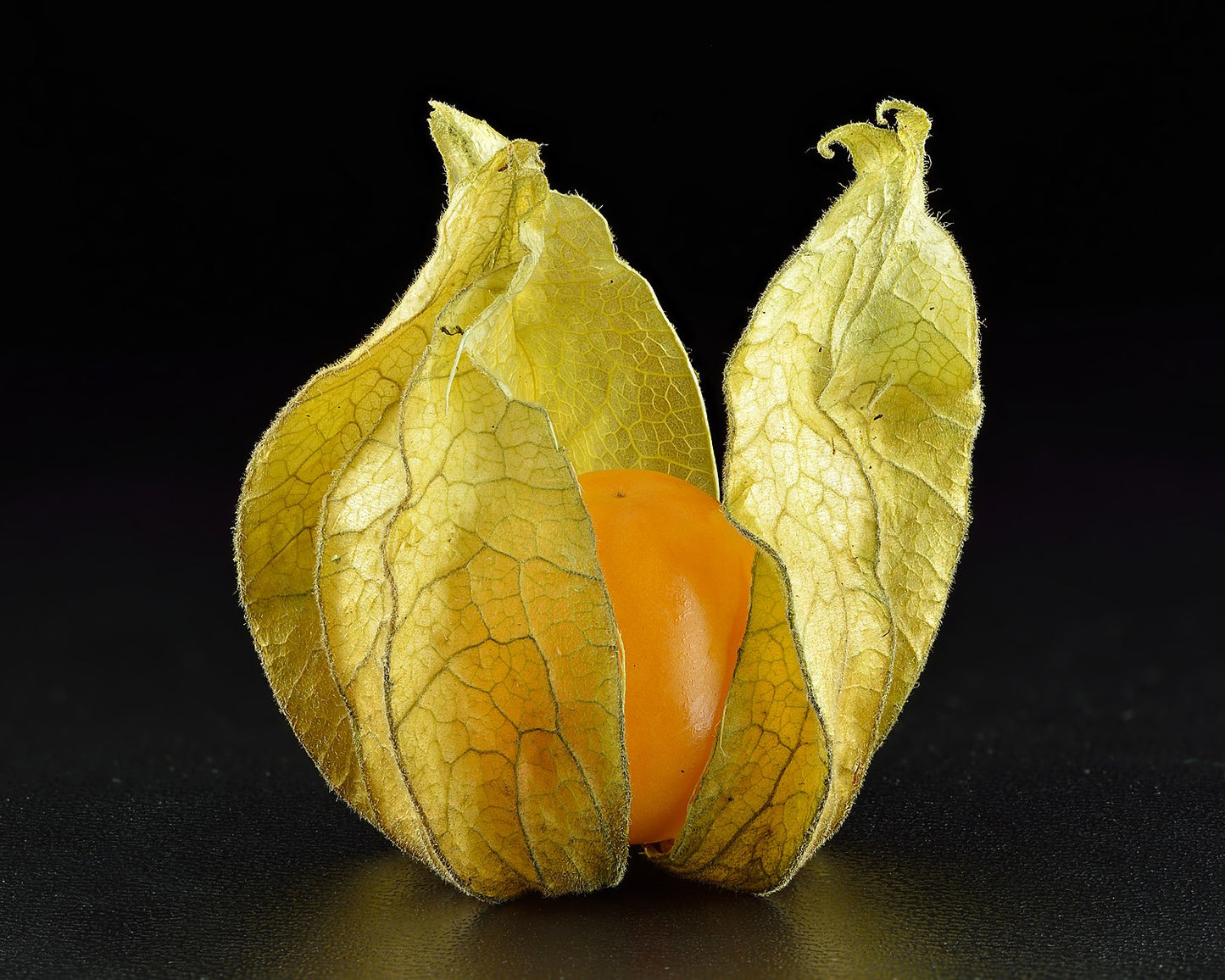 Sweet Ground Cherries, Husk Cherry