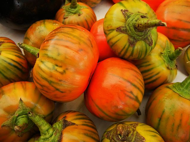 Eggplant - Turkish Orange