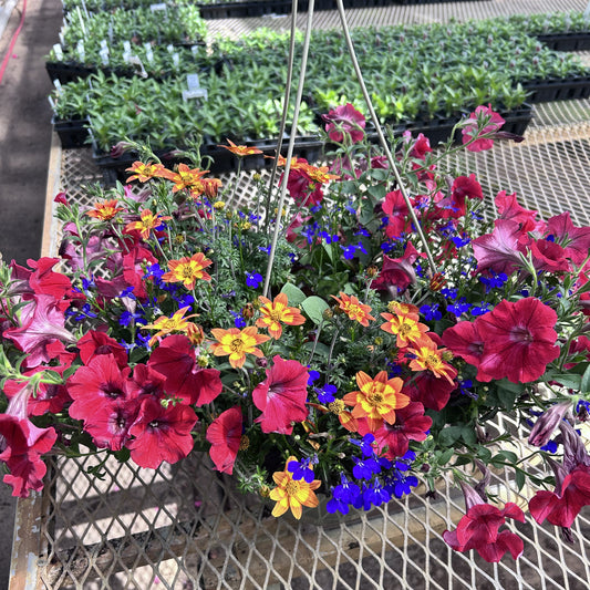 Disco Inferno - SUN Combo