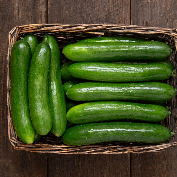 Cucuumber, Bush- Green Finger