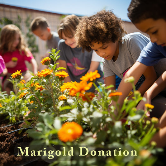 Donate a Flat of Marigolds to Northern Lights