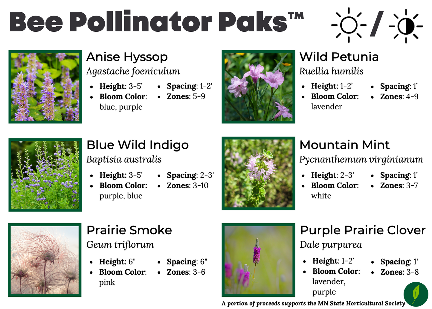 Bee Lover - MN Native Pollinator Pak - 6 Plants