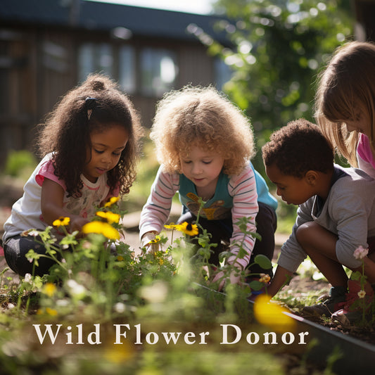 Donate Minnesota Native Wildflowers for Northern Lights