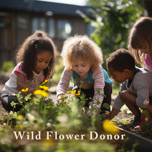 Wild Flower Donor, contribute to our Environmental Education program