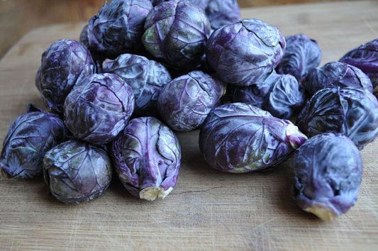 Brussels Sprouts - Falstaff Red - 4 pack