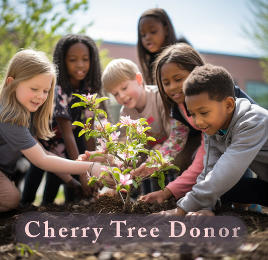 Donate a Cherry Tree to Northern Lights!